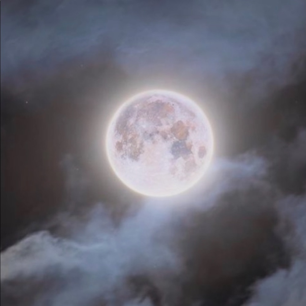 Meet your Posher, Daniela